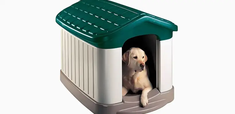 How a High-Quality Rotomolding Pet House Mold Improves Durability and Product Consistency