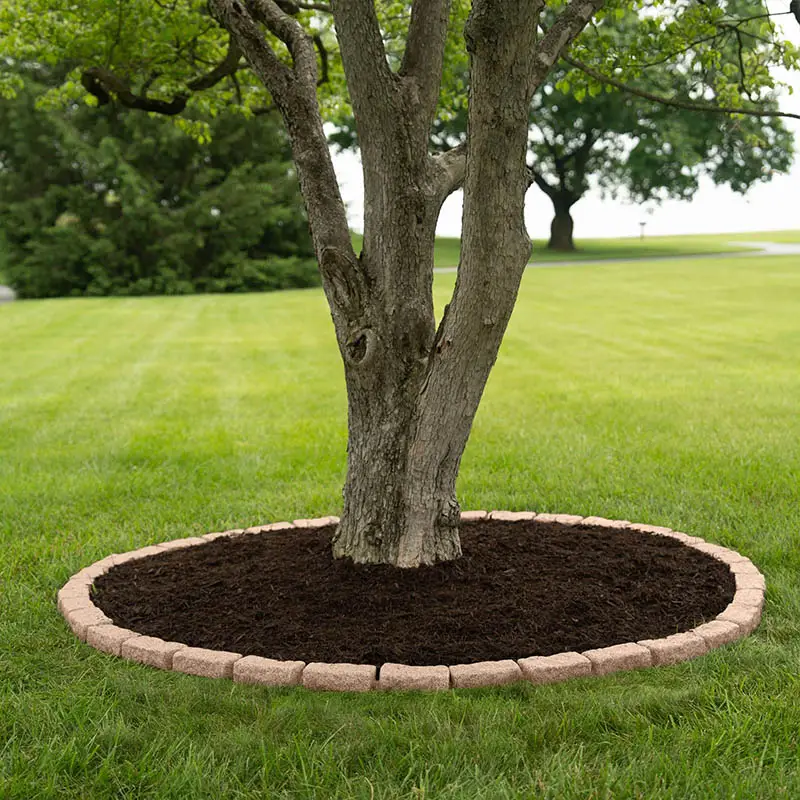 Flower beds