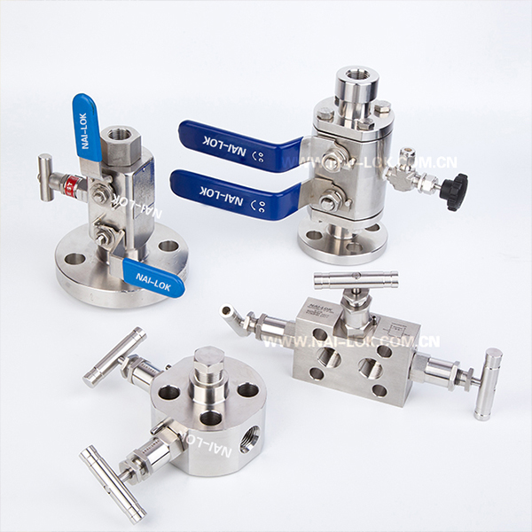 Usage of DBB Mono Flange Valve