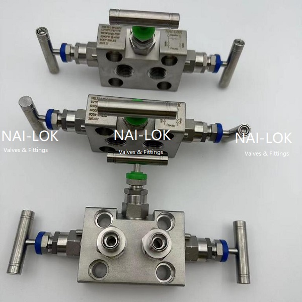 Manifold 2.jpg