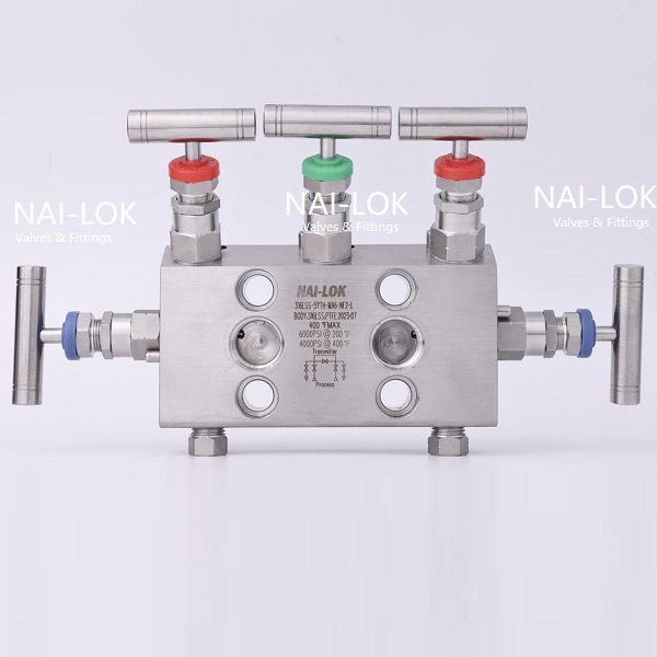 instrument manifold.jpg