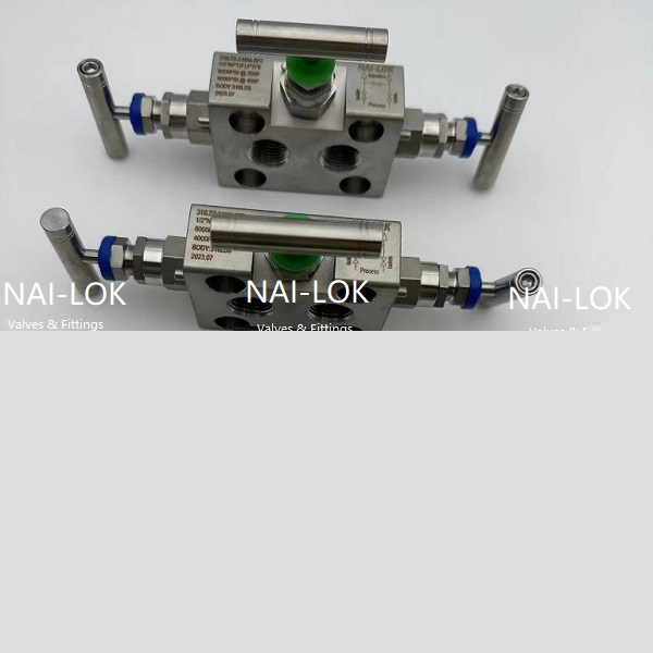 Manifold 2.jpg