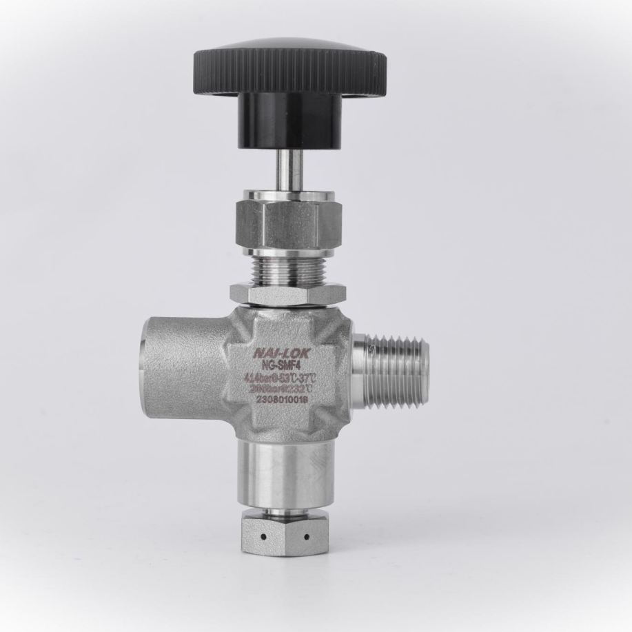 Instruments 6000psig 1/4 NPT iekšējā x ārējā vītne 316 nerūsējošā tērauda adatvārsts pārraušanas diska adatvārsts, kas savienots ar parauga cilindru