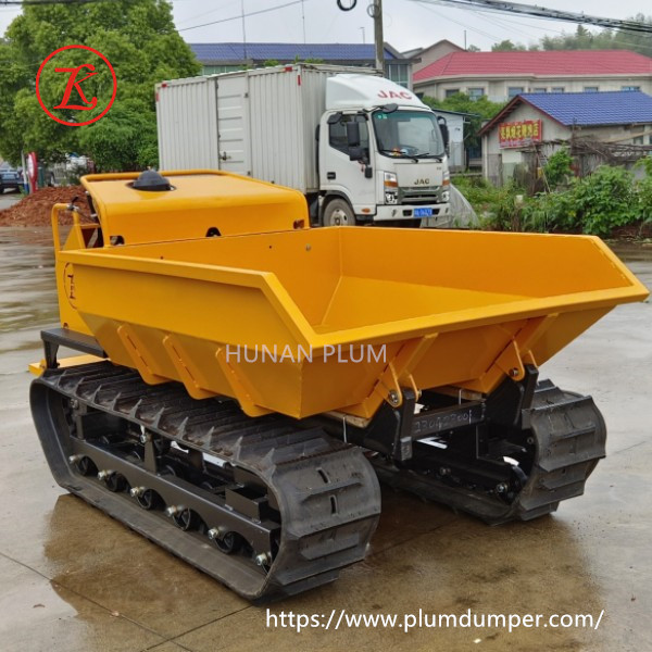 Service Quality: Professional and Reliable