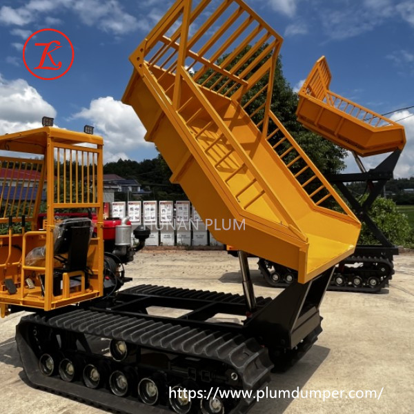 auto transport carriers 2