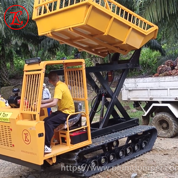 cheap dump trucks 2