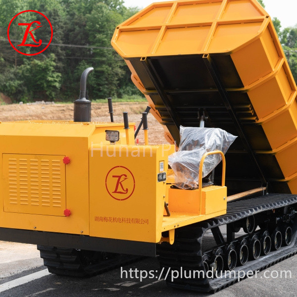 2 ton dumper 3