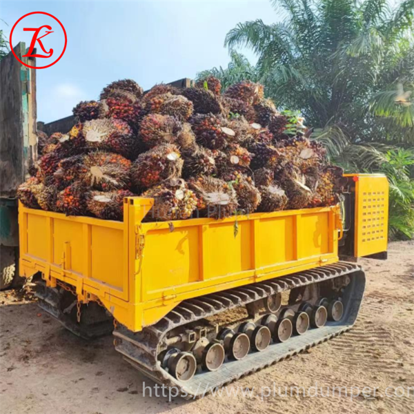 crawler dump truck 2