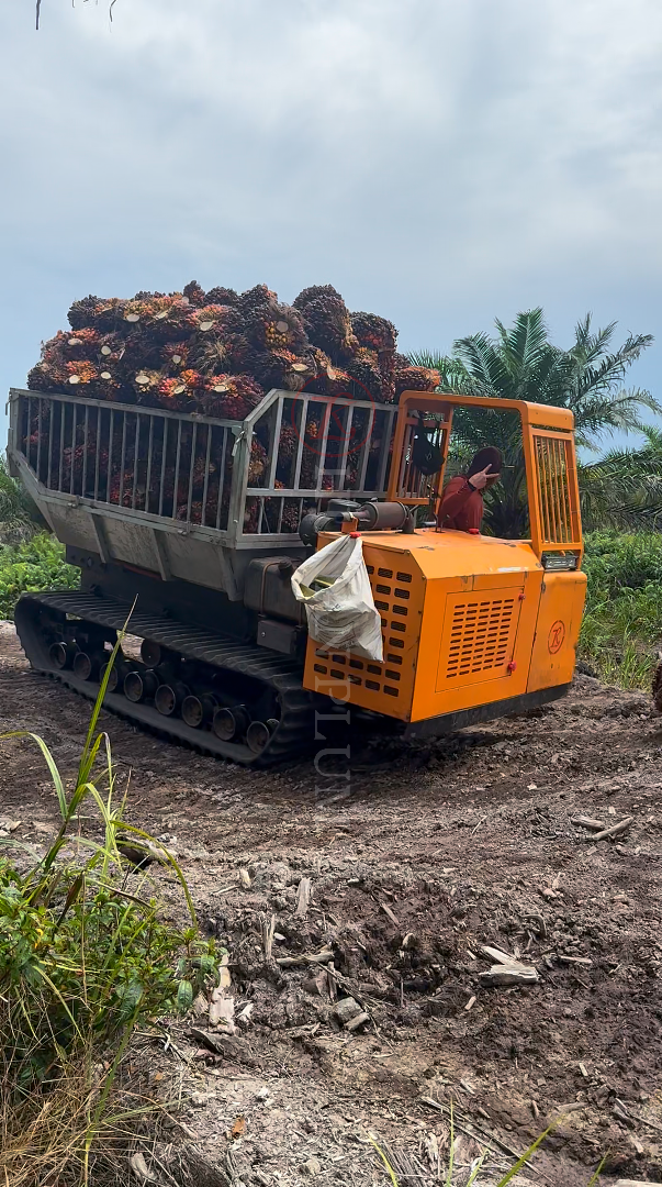 5 common tracked dump truck problems quick troubleshooting and field repair guide