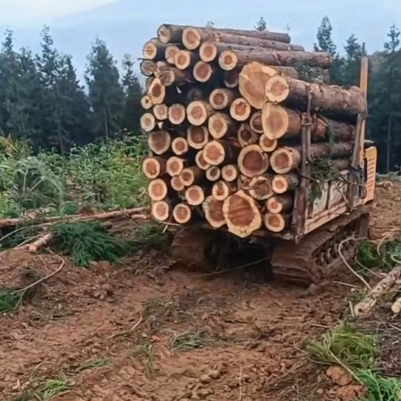 Crawler Dumper Logs Transport in Forest truck