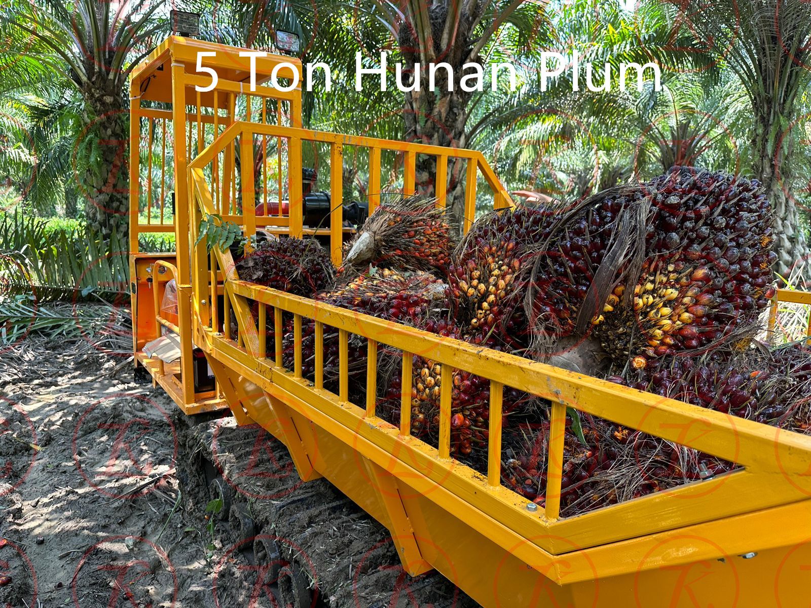 د Hunan Plum کرالر ډمپر څو مقصده کارول