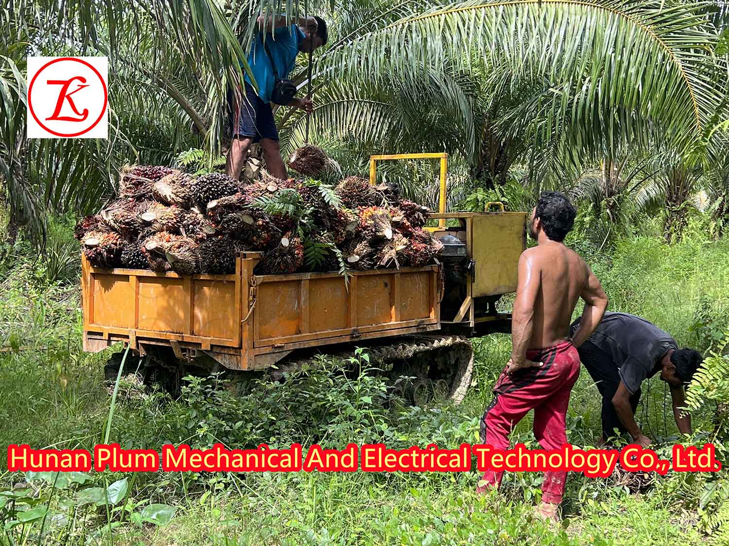 微信图片_20220926160855