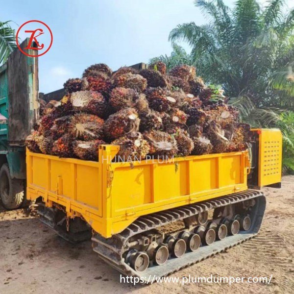 standard dump trucks 1