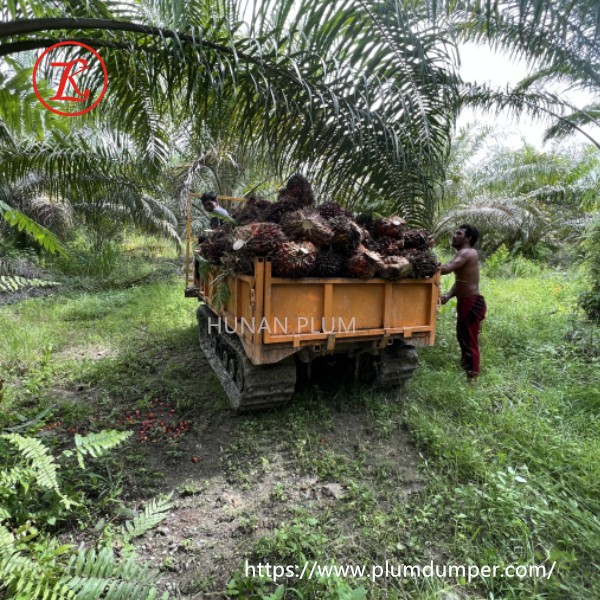 commercial dump truck 1