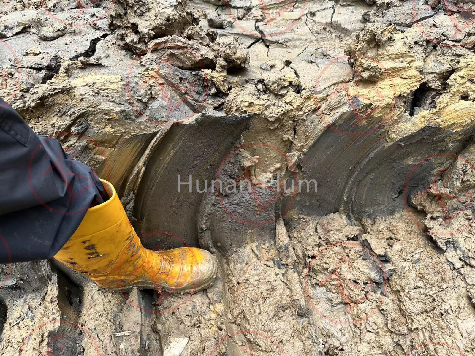 4685d4519c59a8d8c7a1645dcae6b0f