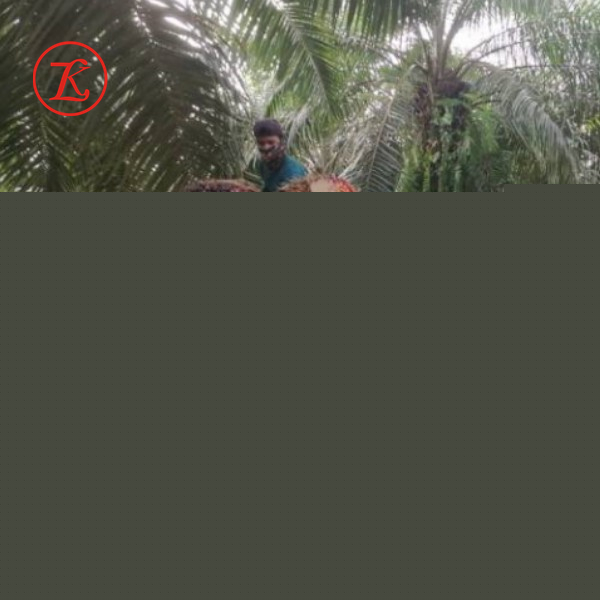 Aplikasi pembawa Hunan Plum Crawler
