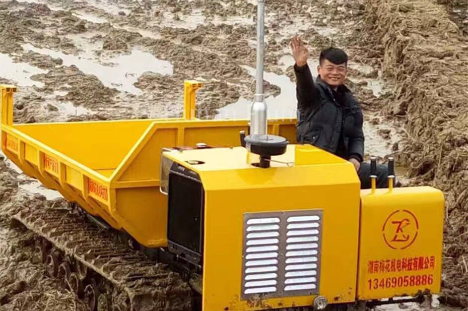 Hunan Plum Crawler Carrier