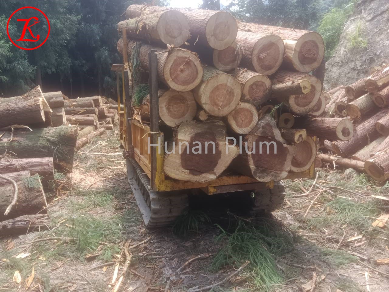 QQ图片20230724145522