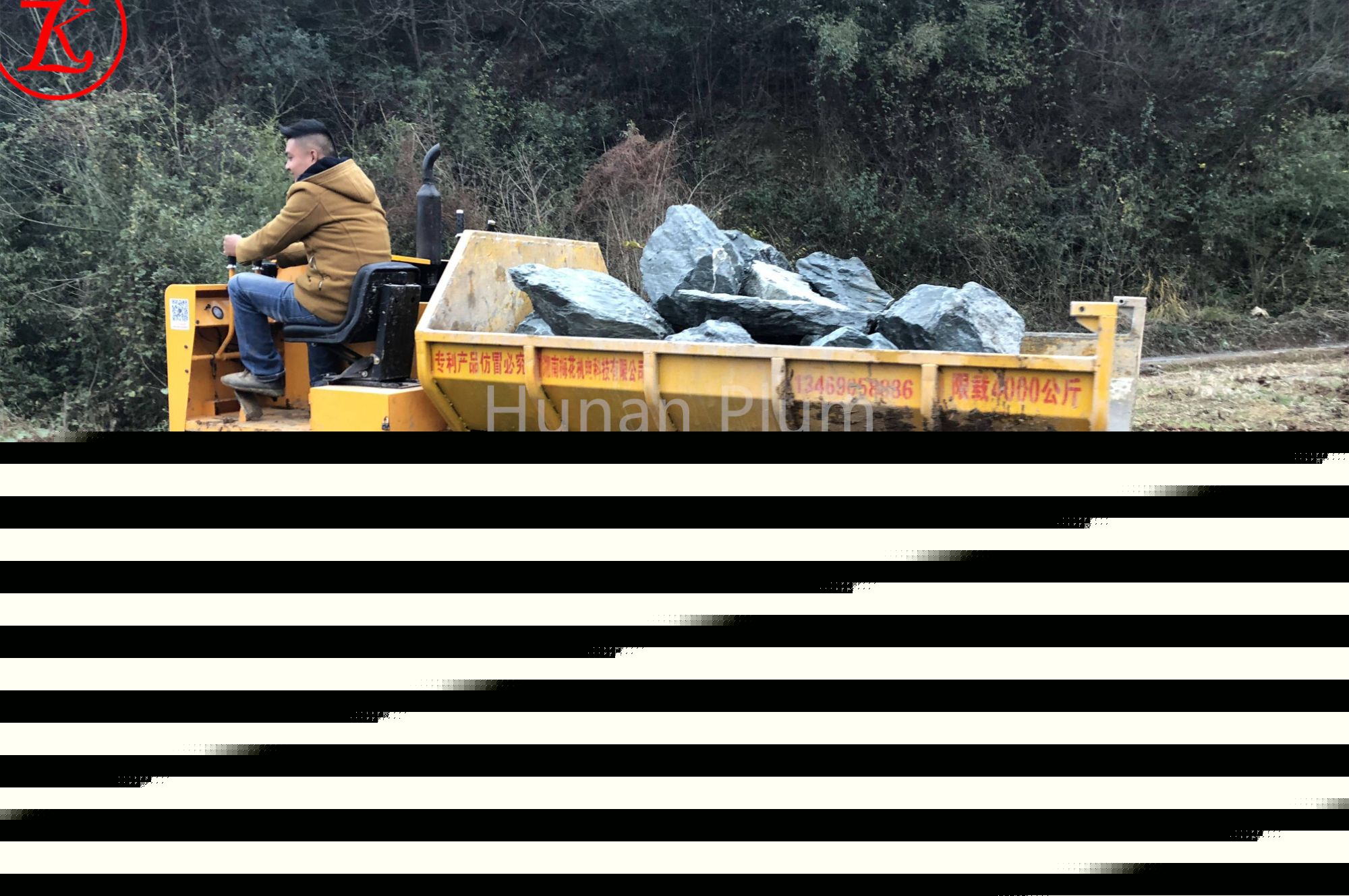 Тасымалдаушы көп саңырауқұлақтар мен көп тужуан