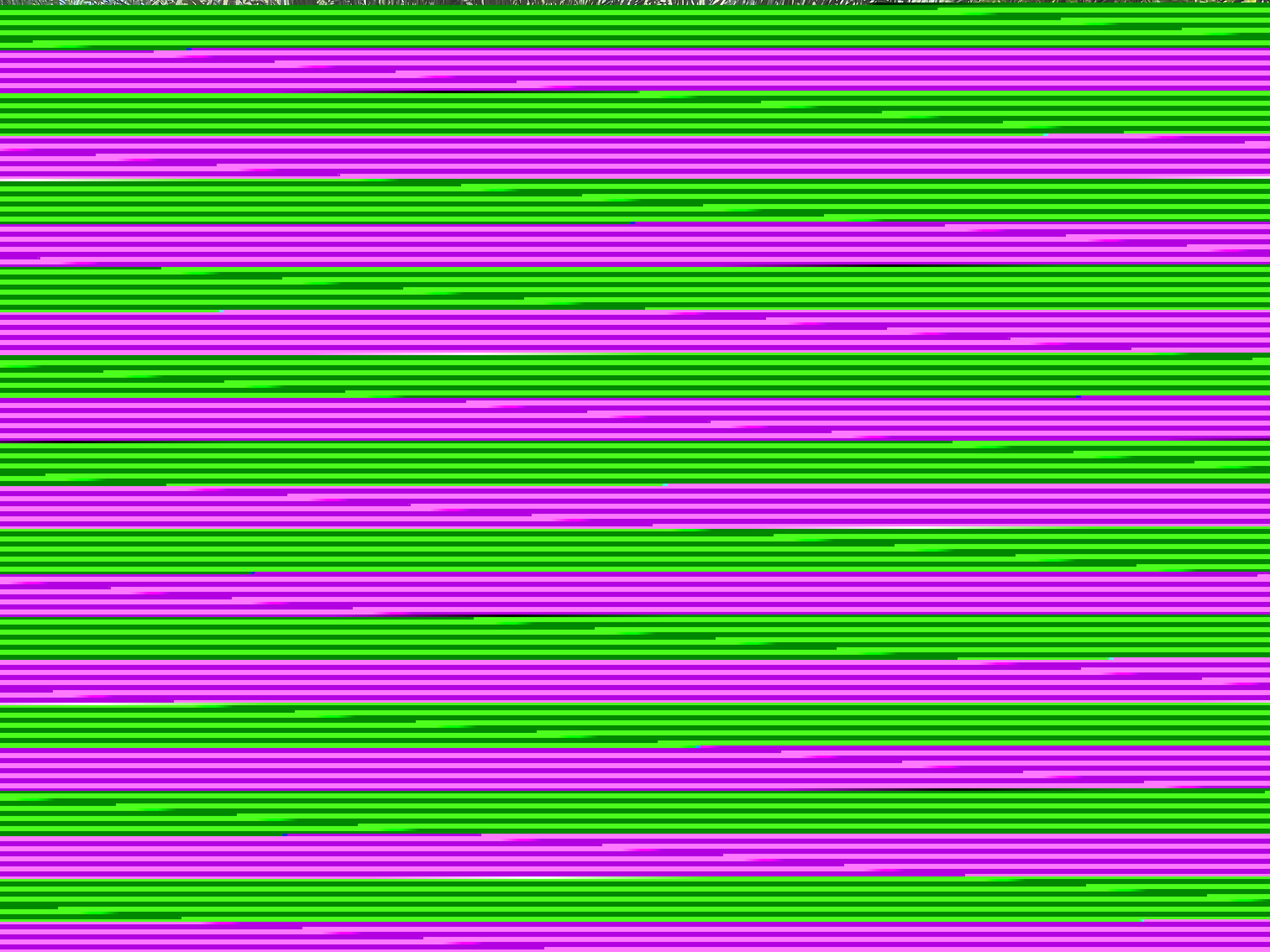 2023_06_19_14_47_IMG_0517