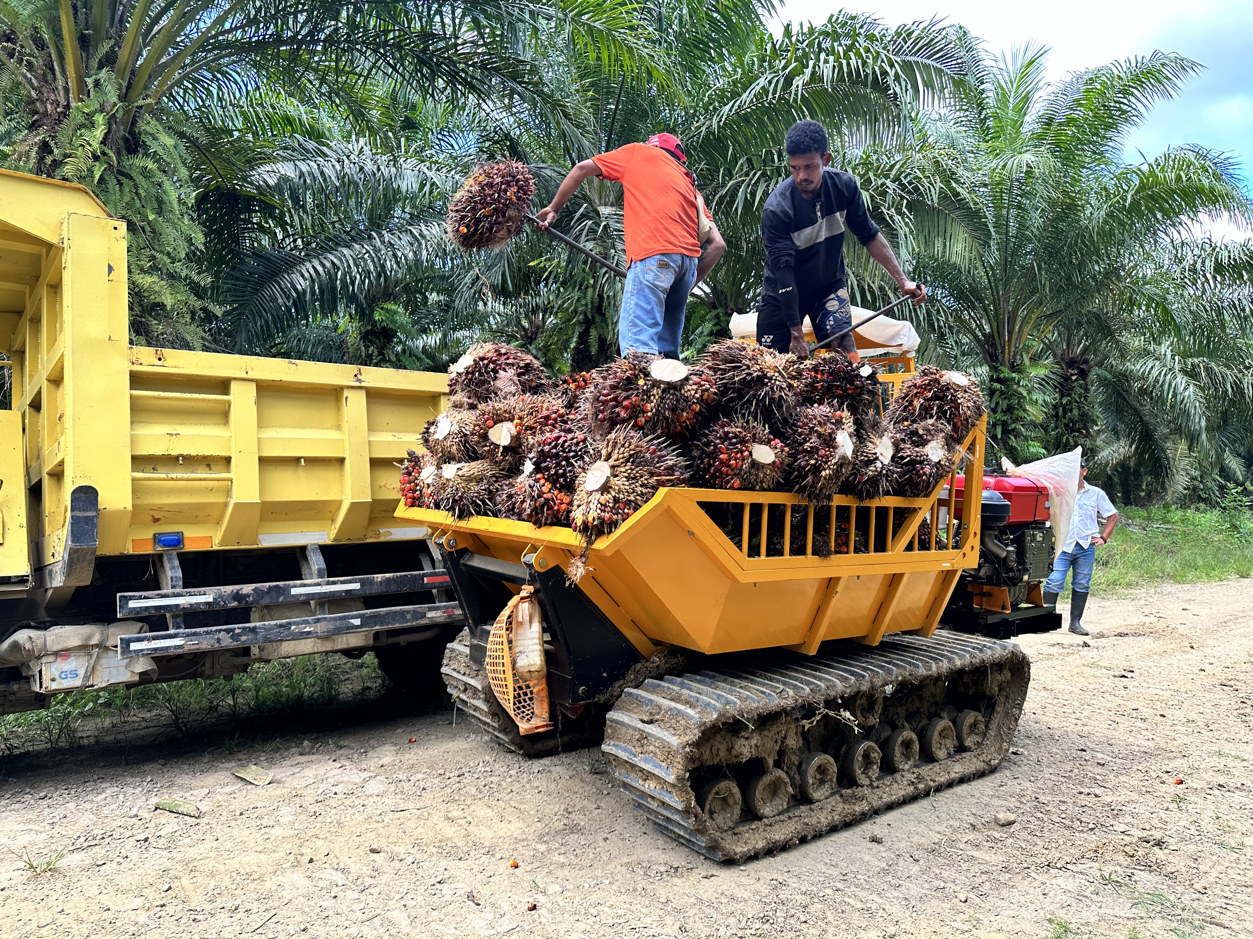 微信图片_20231207160224