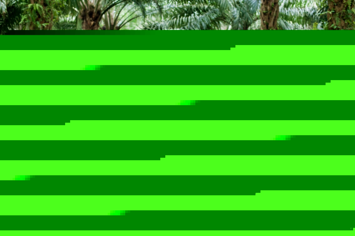 Palm Garden Application -- Crawler Machinery.