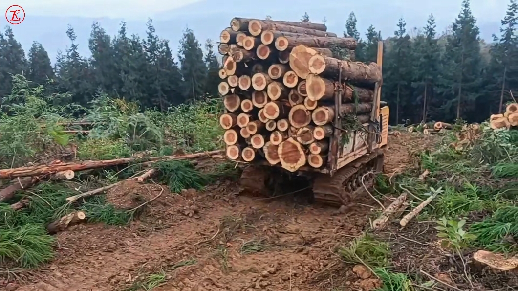 微信截图_20241230162249