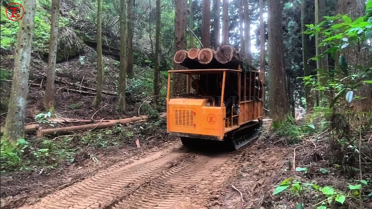 微信截图_20250108164204