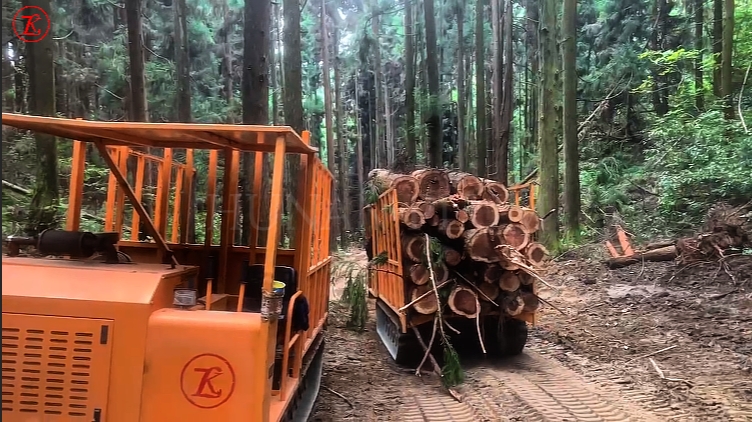 微信截图_20250108164221