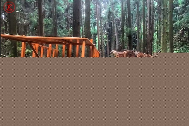 Nadgradnje mini prekucnika za sečnjo: izboljšanje učinkovitosti in zmogljivosti