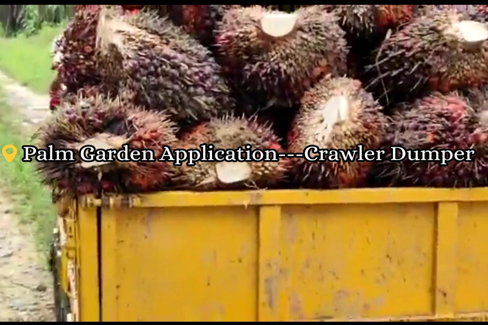 Boosting Palm Oil Efficiency with Crawler Dump Trucks!