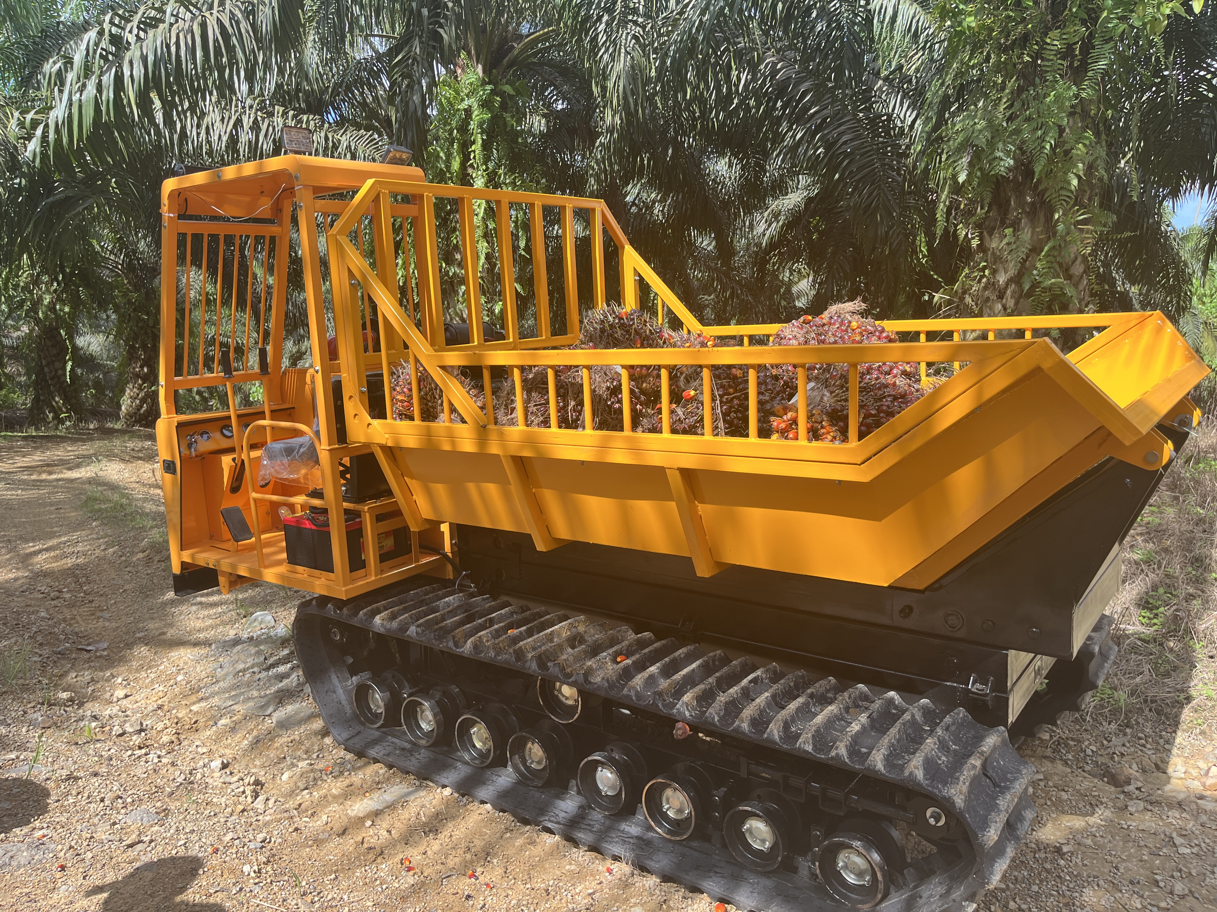 2023_06_19_14_47_IMG_0517