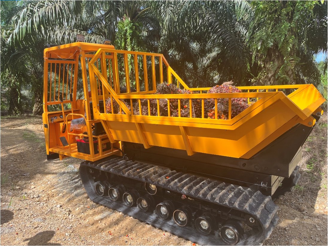 Dump trucks efficiently unload palm oil fruits to help green energy production!
