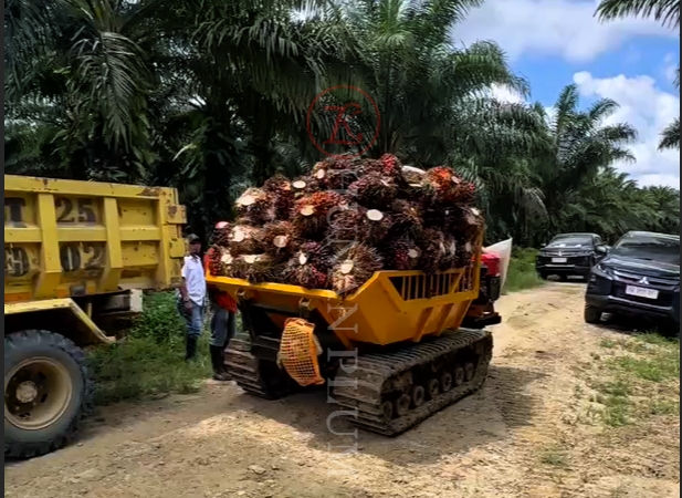 微信截图_20250529145242