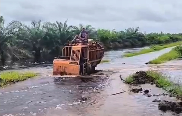 "Who Needs Roads When You Have Water?"