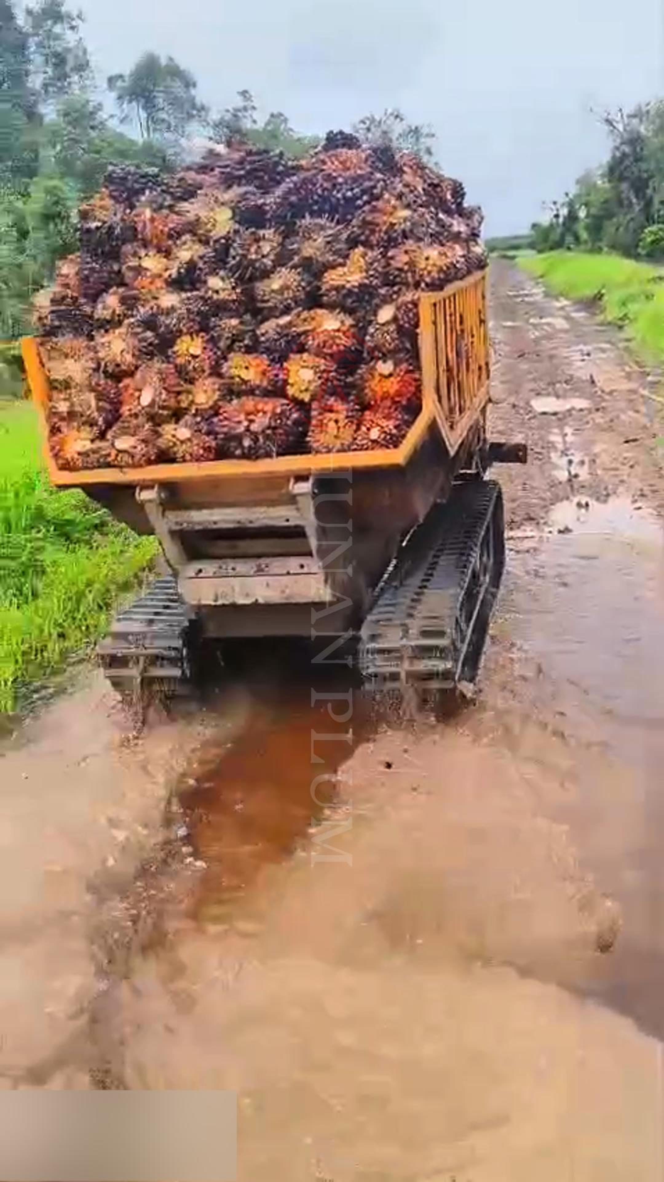 水路运输棕榈油-封面