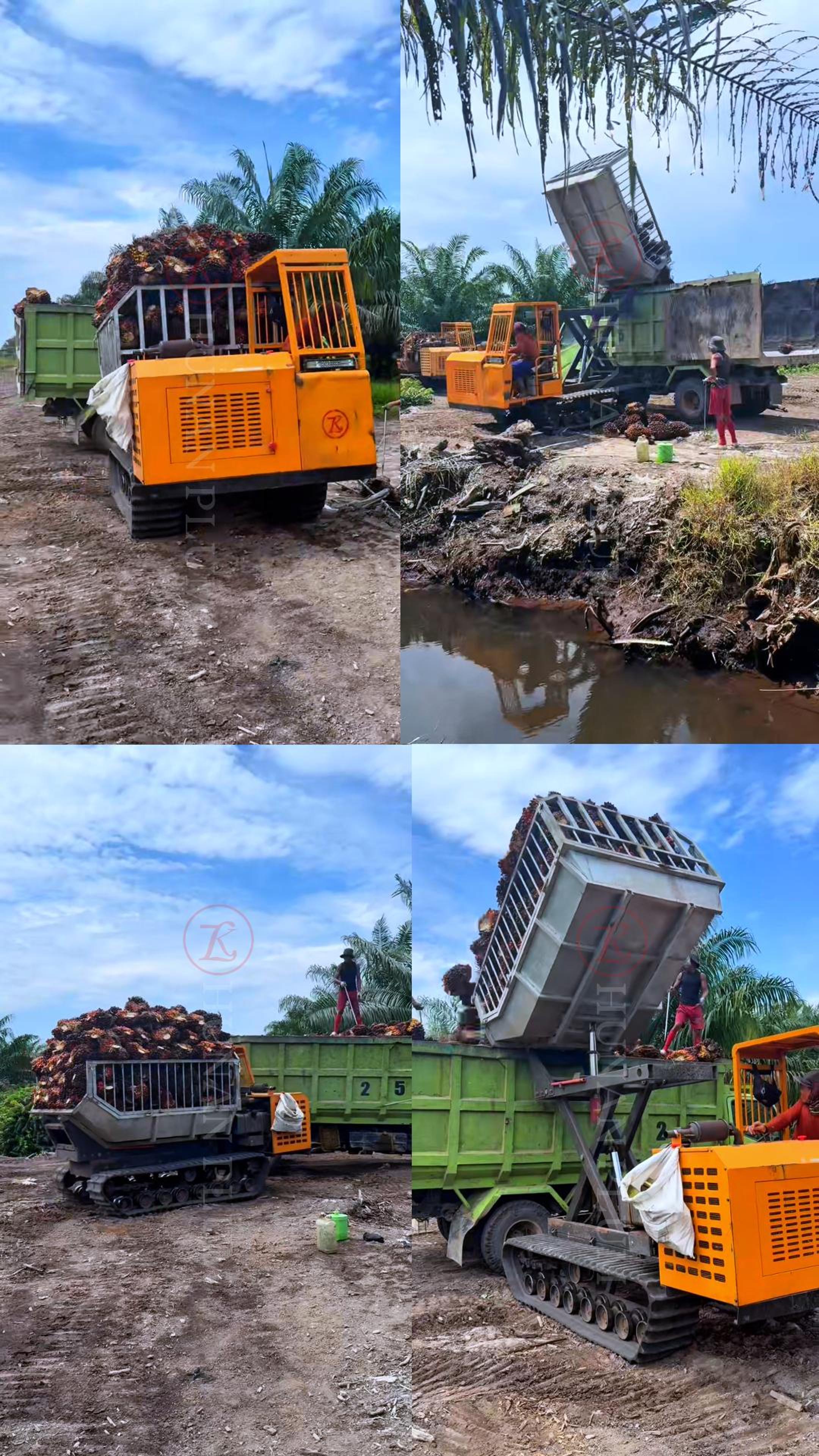 分屏视频实地-竖-封面