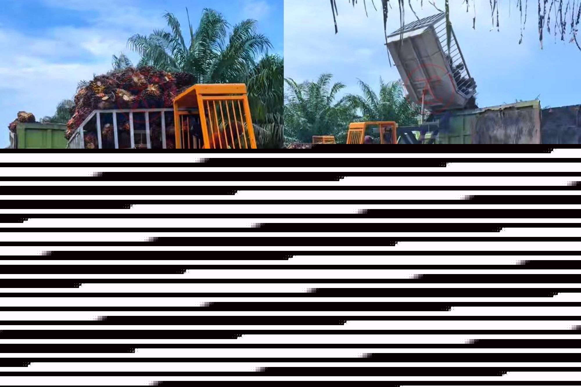 សេណារីយ៉ូពិភពលោកពិត