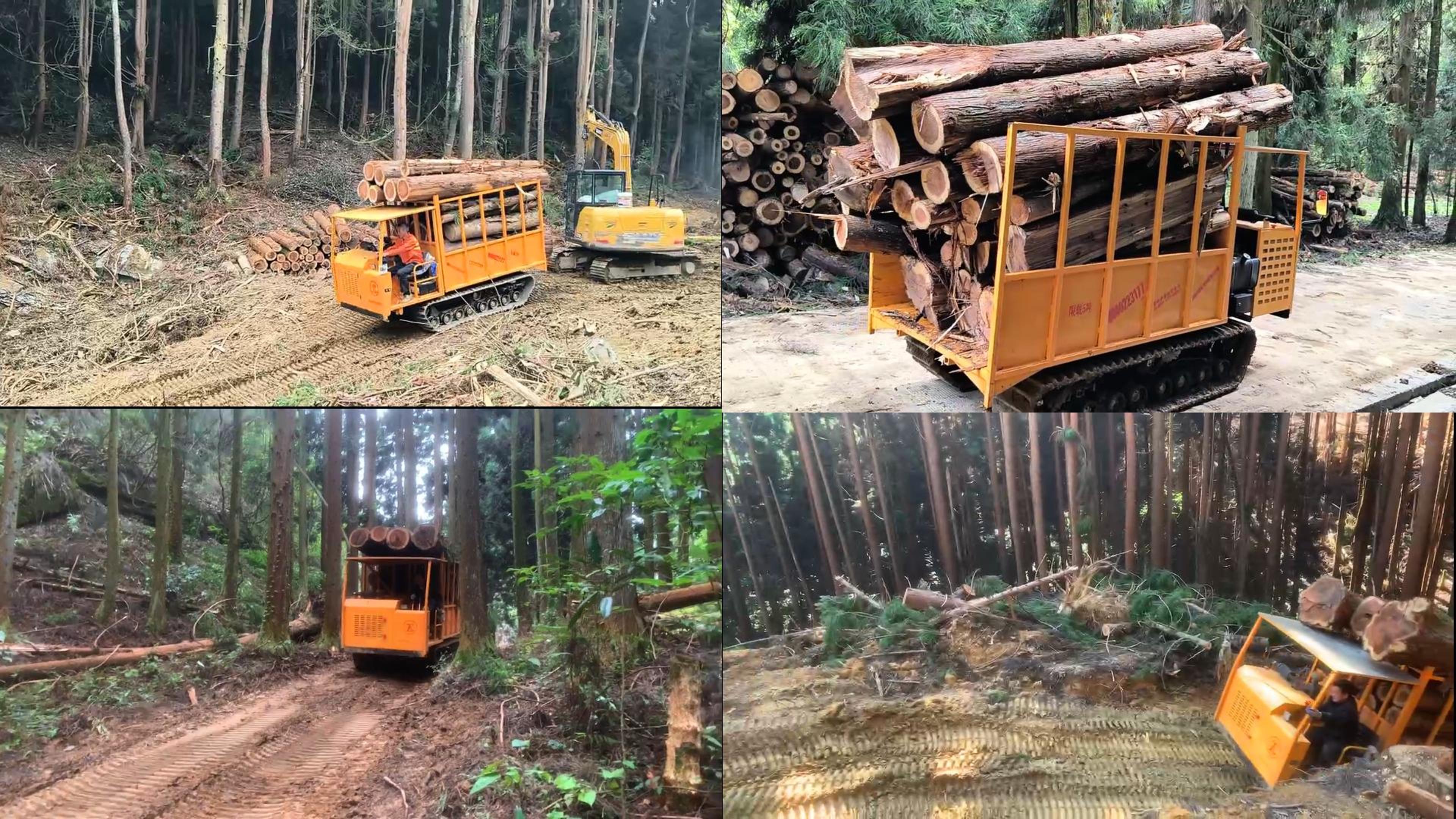 运输木材横四屏-封面