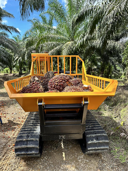 2023_06_19_14_46_IMG_0513