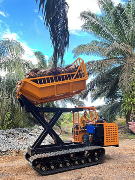 2023_06_19_14_46_IMG_0513