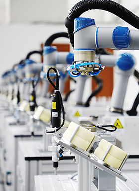 Освіта та наука