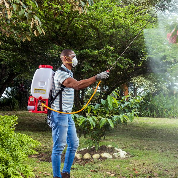 A Must-Have for Every Gardener