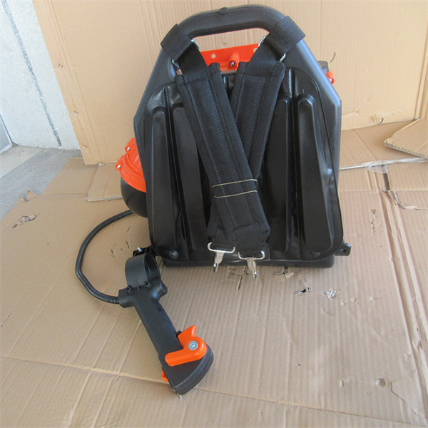 Maximize your lawn care routine with a blower leaf.