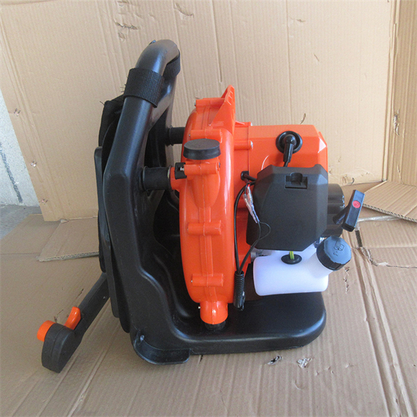 Experience the power and convenience of a blower leaf.