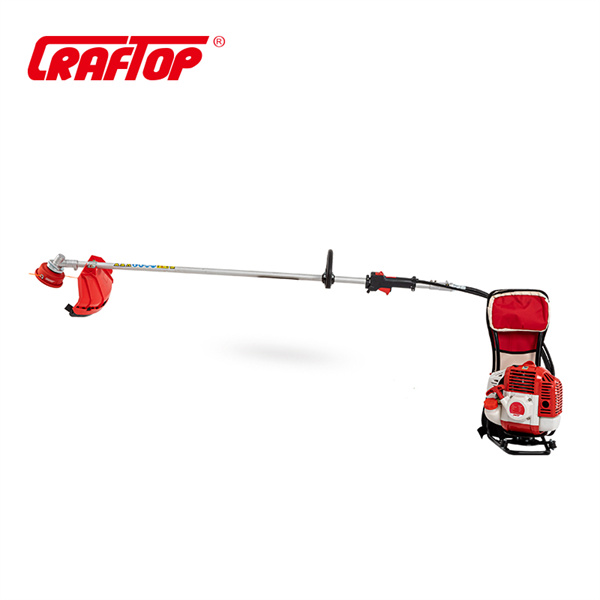 What Is A Cordless Whipper SnipperPage