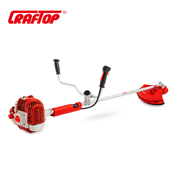 Powered Whipper Snipper Minimizing Maintenance to the Garden