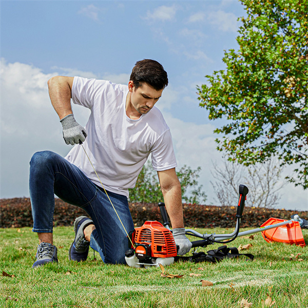 Transforming your outdoor space with precision trimming