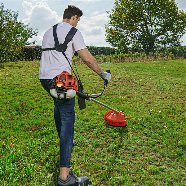 The Best Investment for a Lush and Neatly Trimmed Lawn!
