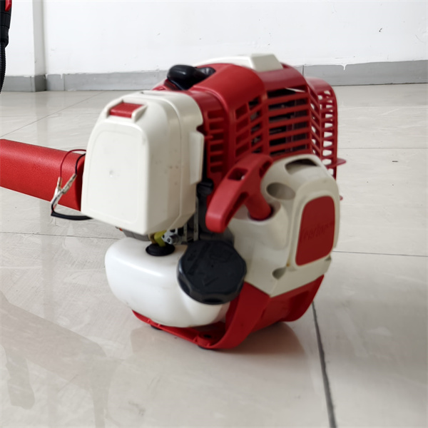 How to Use Whipper Snippers?